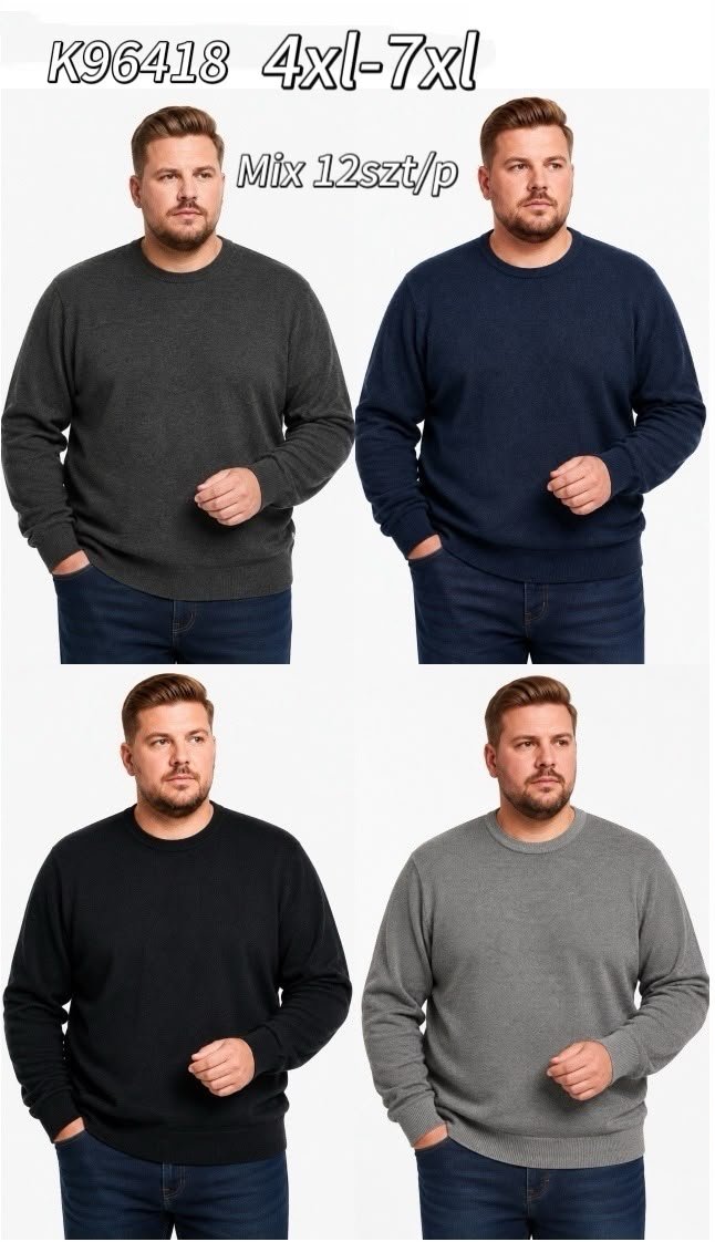 Sweter Męskie